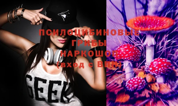 стаф Заволжск