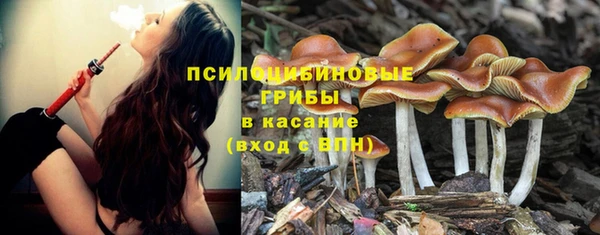 кокаин колумбия Заводоуковск