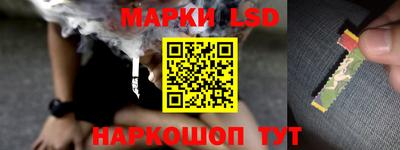 гидропоника Заводоуковск