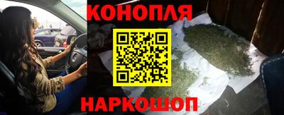 крисы Аргун