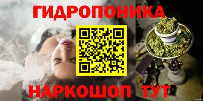 гидропоника Заводоуковск