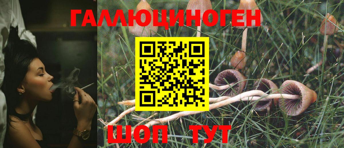 Псилоцибиновые грибы Psilocybine cubensis Мытищи