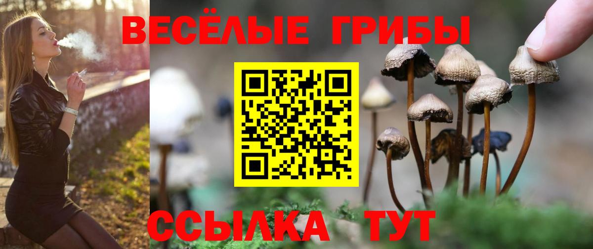 Галлюциногенные грибы мухоморы  Вход с VPN  Мытищи  Галлюциногенные грибы Magic Shrooms 