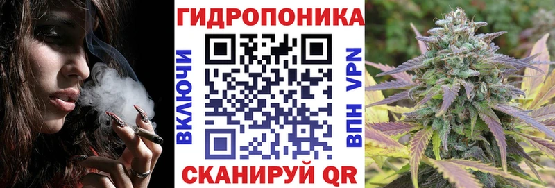МАРИХУАНА THC 21%  Купить закладки  Мытищи 